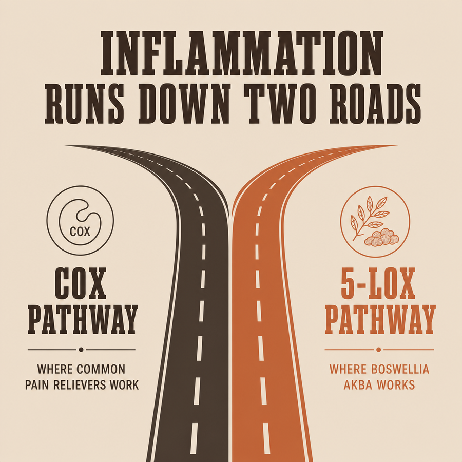Inflammation does not run down one road. It runs down two.