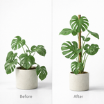 Bower Poles™ Flexible Plant Support