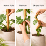 Bower Poles™ Flexible Plant Support