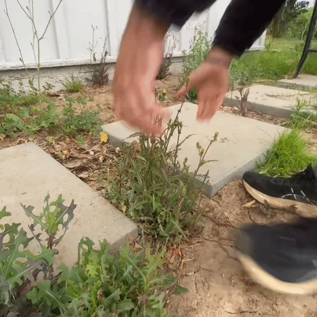 Your Garden Doesn't Have A Weed Problem. It Has A Bending Problem.