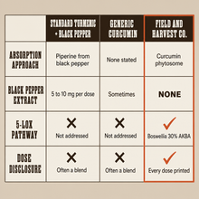 Comparison of absorption approach, black pepper extract content, the 5-LOX pathway and dose disclosure across the category