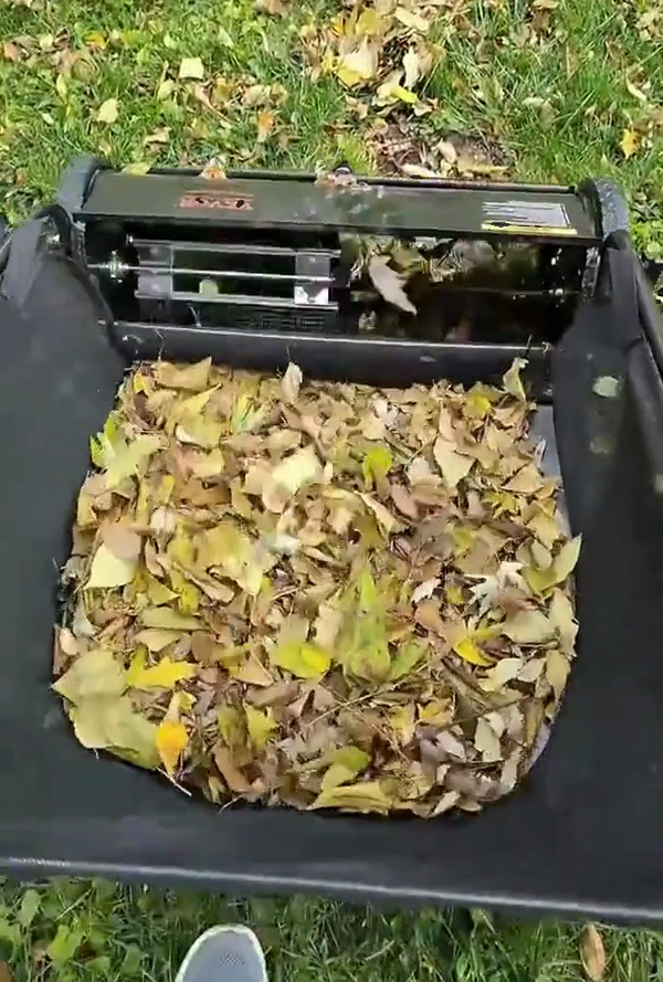 A full hopper of fall leaves lifted off the lawn in a single pass